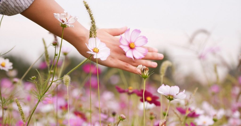 6 Ways to Let Spring Give You Hope