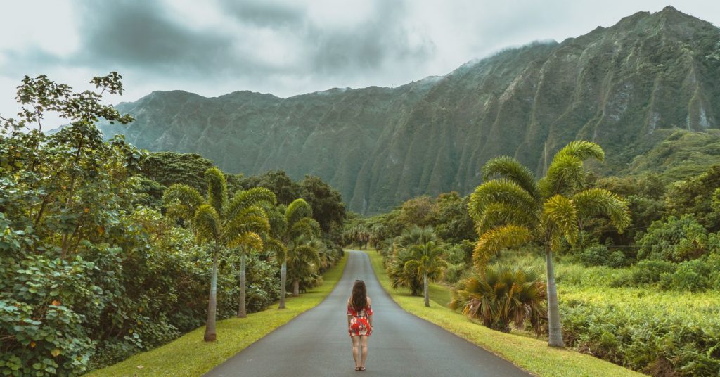 How Aloha Aina Can Help Us Reconnect