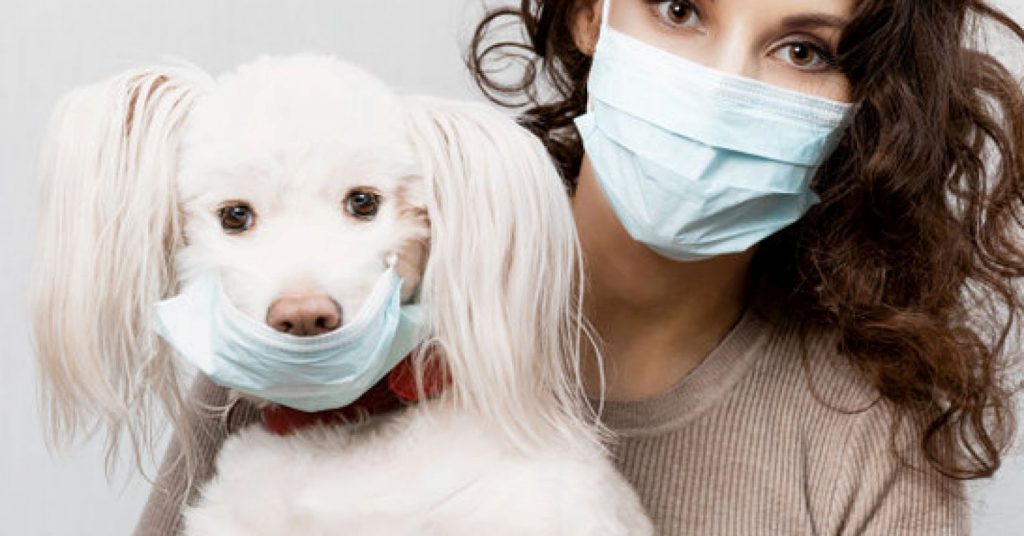 The Puzzling Link Between Pet Attachment and Mental Health