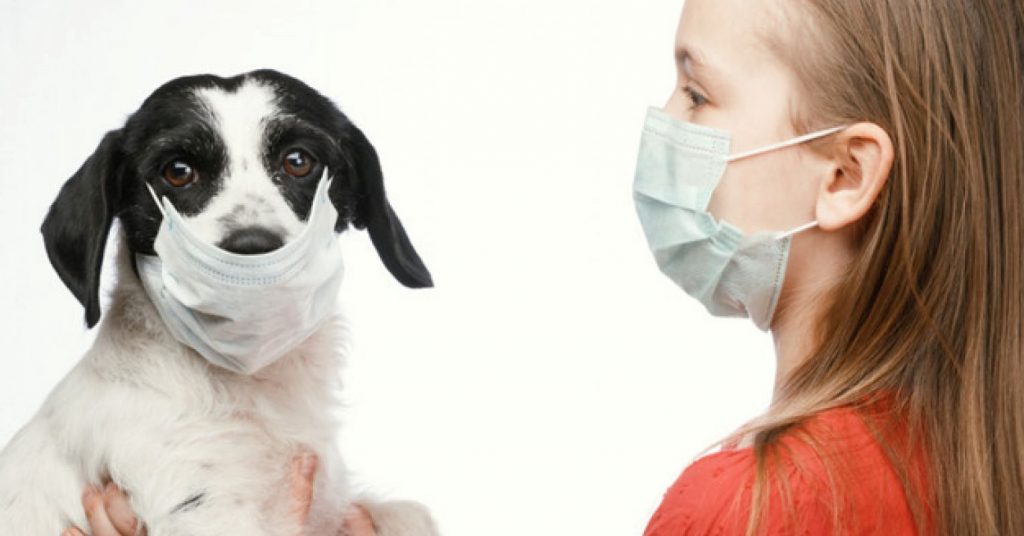 What You Didn't Know About Having a Pandemic Pet