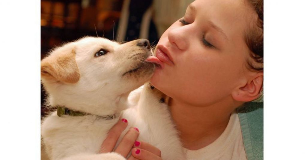 Are Dog Licks Really Kisses?