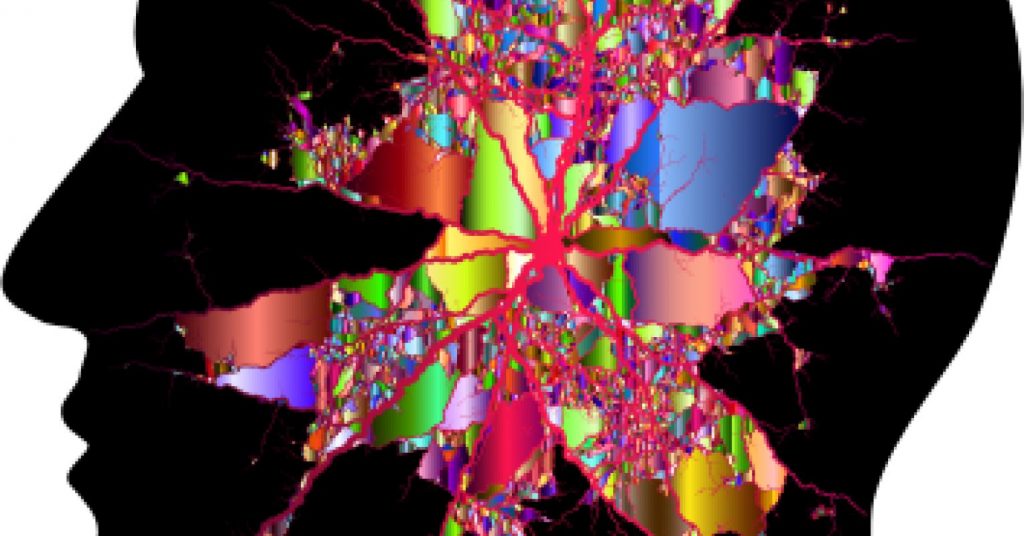 Consciousness, Free Will, and the Mind
