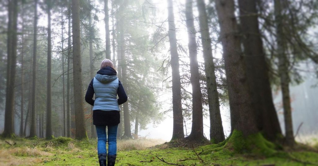 Feeling Sick, Tired or Tense? Try "Forest Bathing"