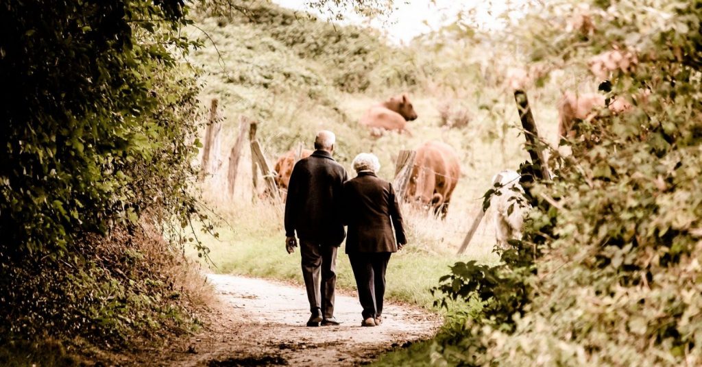 Walking Builds the Aging Brain’s Structure and Mental Acuity