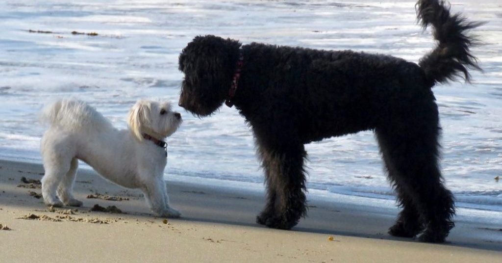 Instant Friendships: Why You Can Click Right from the Start